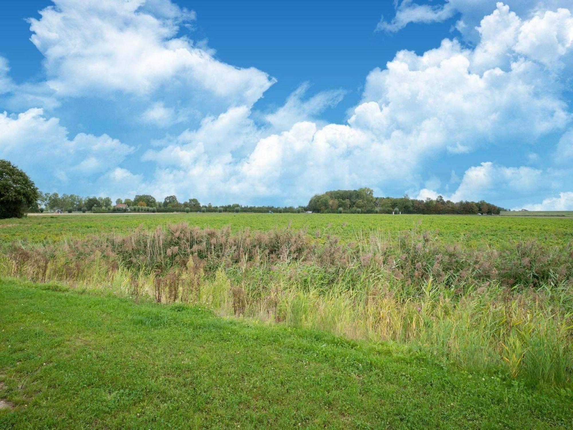 Holiday Home In Scherpenisse Esterno foto